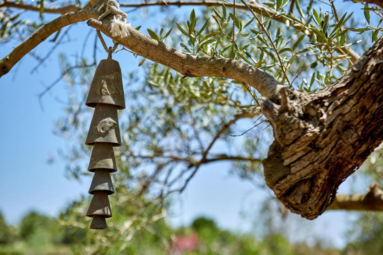 Finca La Salve Pollença Esterno foto